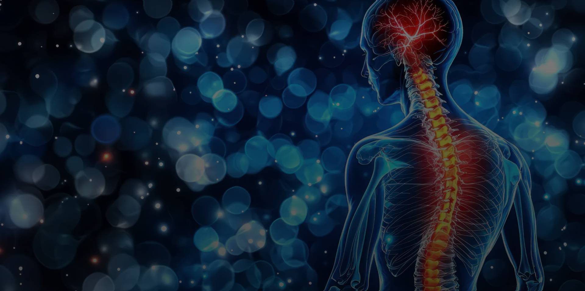 XIV. ODBORNÁ KONFERENCE A SETKÁNÍ SPINÁLNÍCH JEDNOTEK